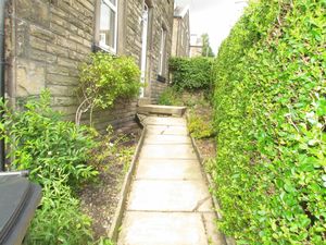 Side Garden- click for photo gallery